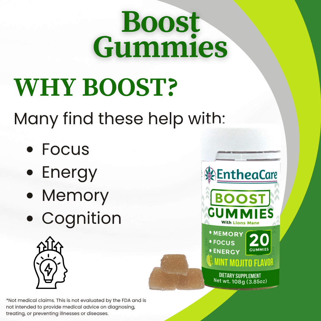 Boost Gummies Energy, Focus, & Memory EntheaCare