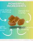 Boost Gummies | Energy, Focus, & Memory
