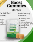 Synergy Bundle | Edible Bundle
