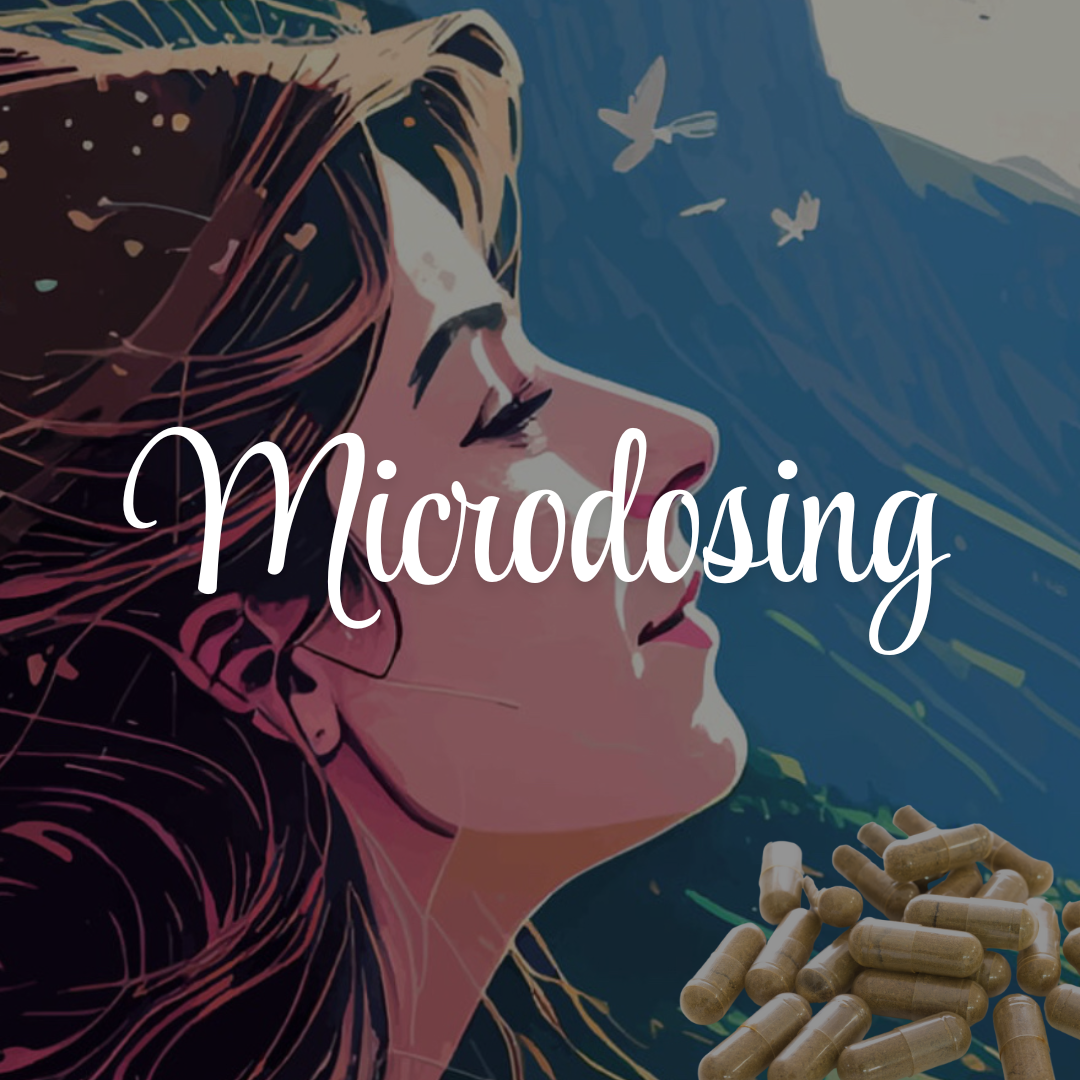 Custom Wellness Program