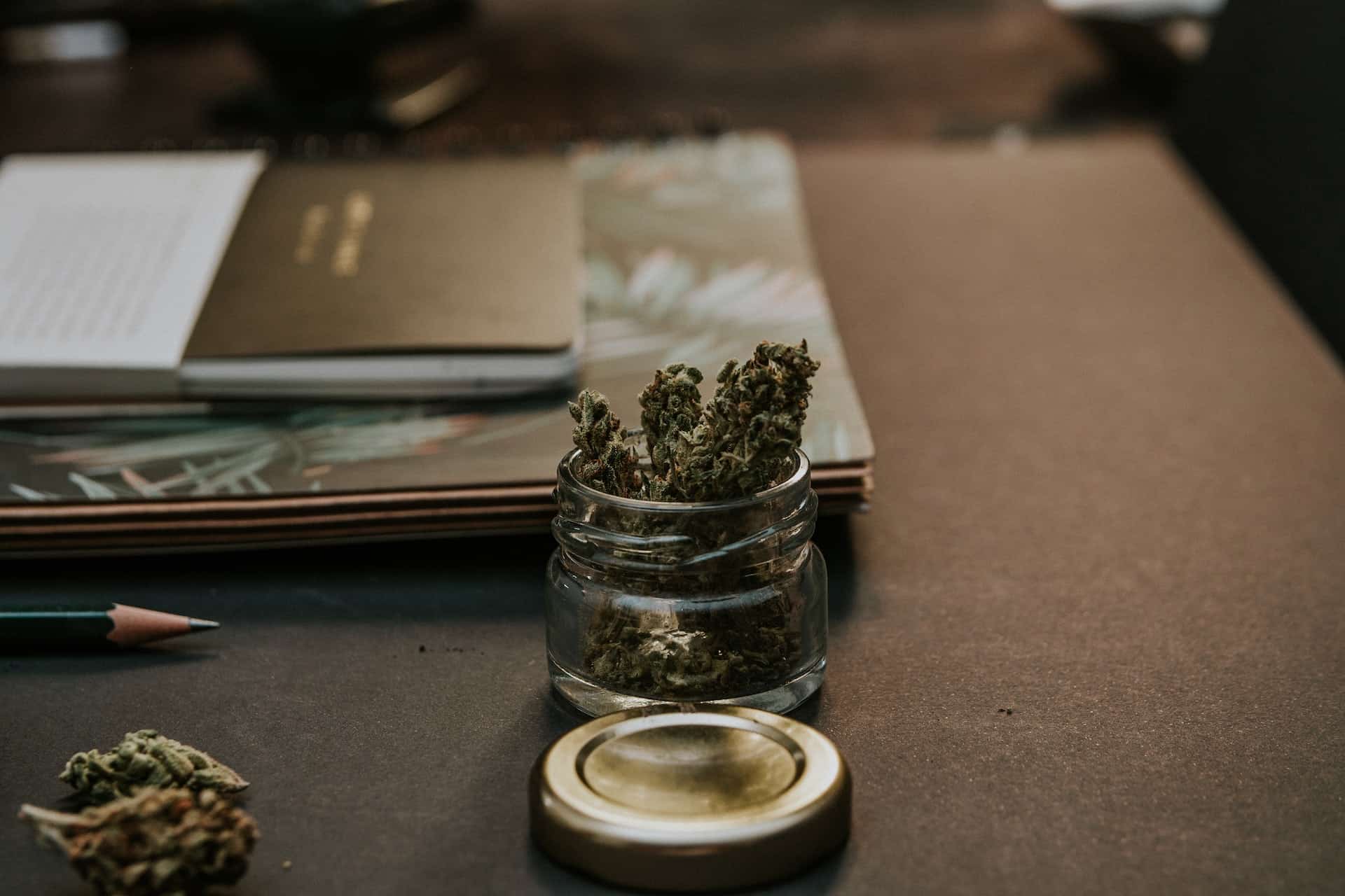 Can I Combine Cannabis and Psilocybin?