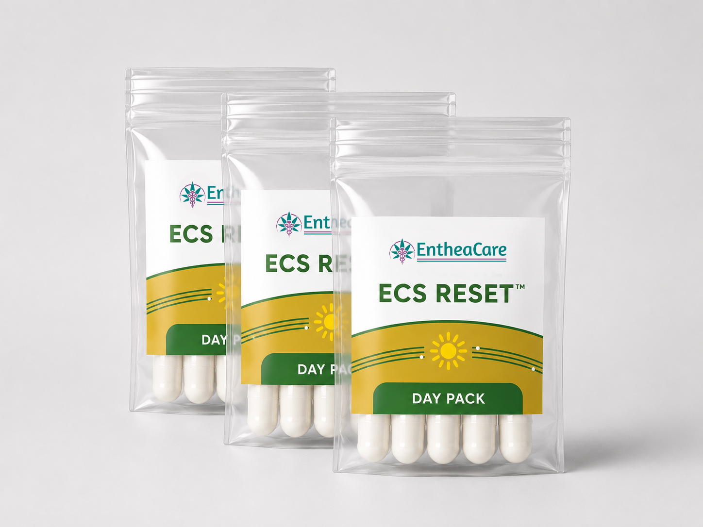 ECS Reset | 3-Day Tolerance Reset Supplement Protocol