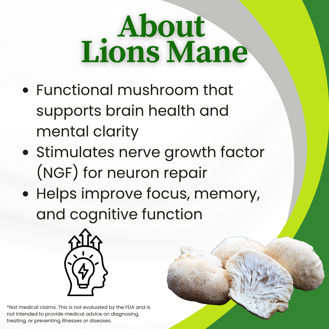 Boost Gummies | Energy, Focus, &amp; Memory