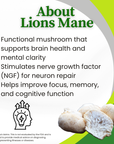 Boost Gummies | Energy, Focus, & Memory