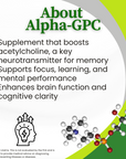 Boost Gummies | Energy, Focus, & Memory