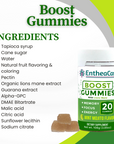 Boost Gummies | Energy, Focus, & Memory