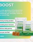 Boost Gummies | Energy, Focus, & Memory