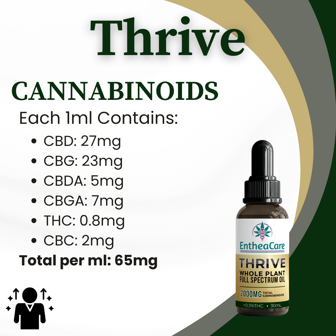 Thrive | 2000mg Whole Plant Full Spectrum CBD Oil