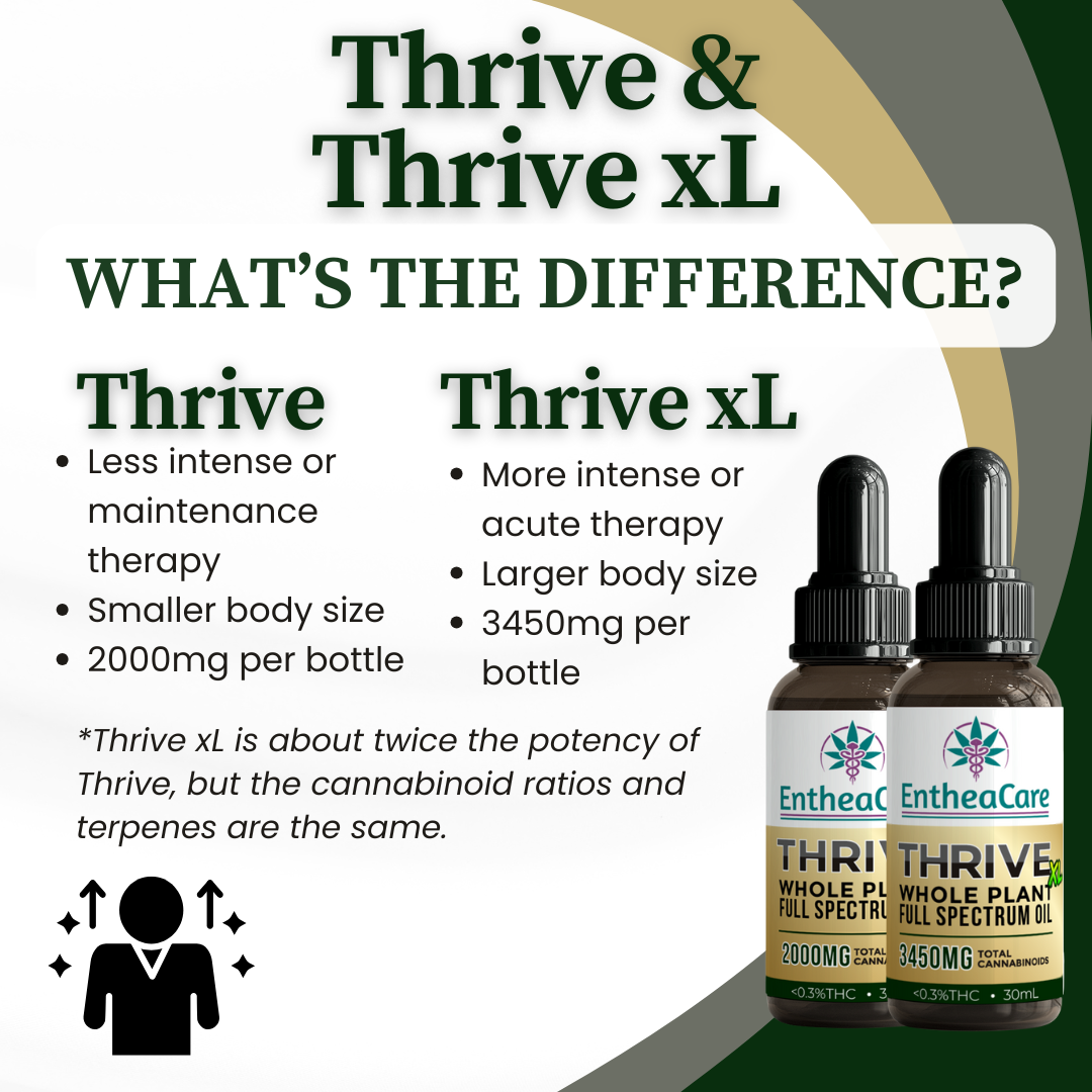 Thrive | 2000mg Whole Plant Full Spectrum CBD Oil