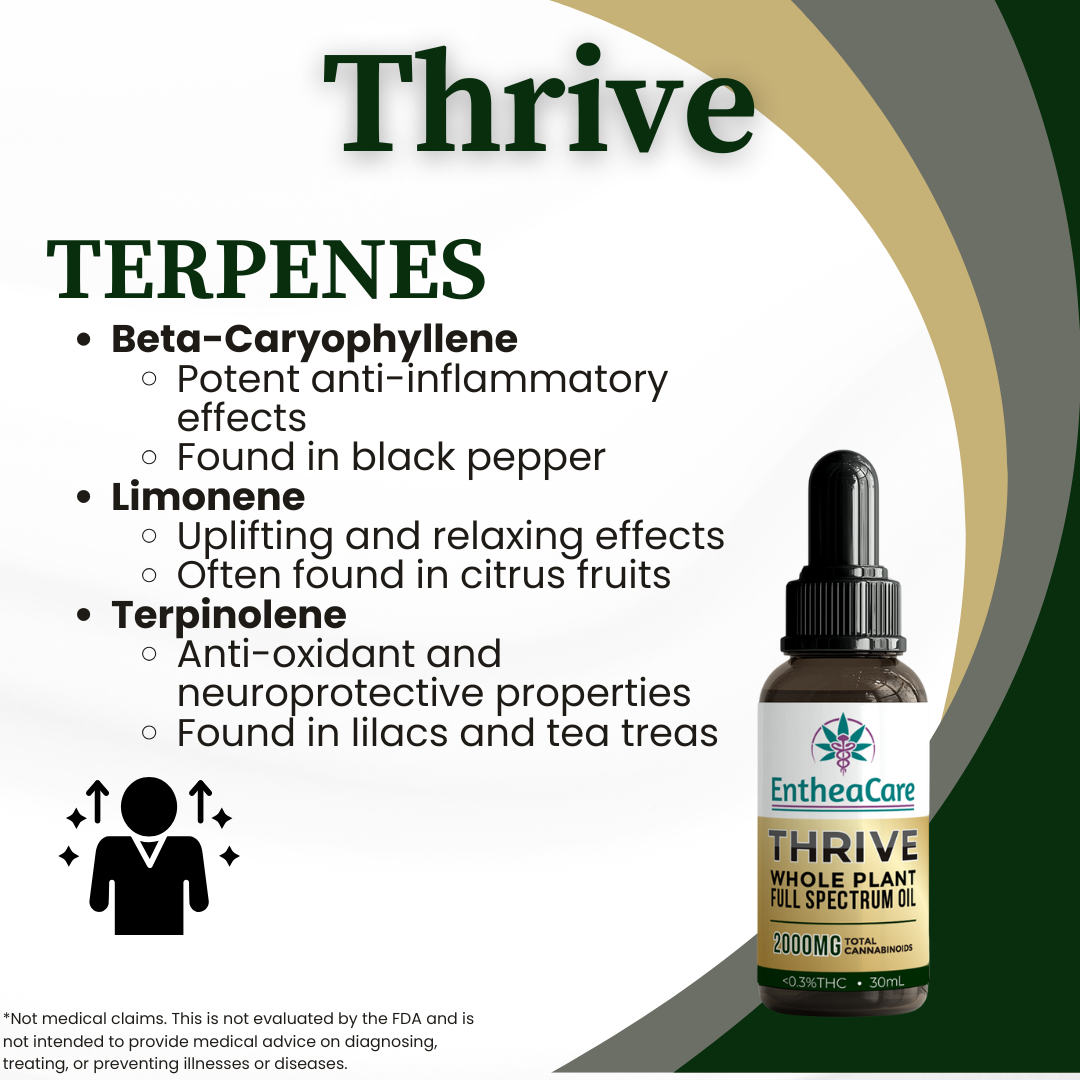 Thrive | 2000mg Whole Plant Full Spectrum CBD Oil