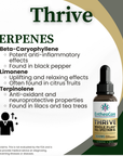 Thrive | 2000mg Whole Plant Full Spectrum CBD Oil