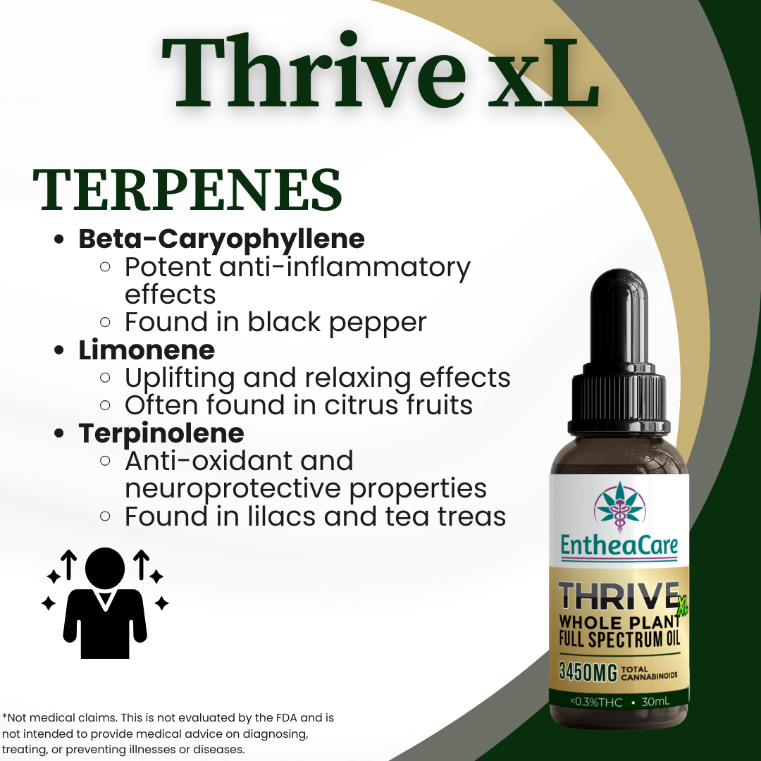 Thrive xL | 3450mg Whole Plant Full Spectrum CBD Oil